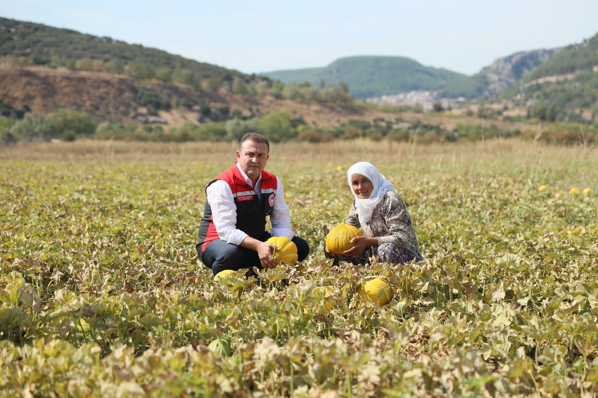 Muğla Yayla Kavunu Hasadı ile Sevenlerini Coşturdu