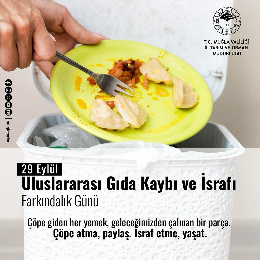 Gıda İsrafı: Dünya Üretiminin Üçte Biri Çöpe Gidiyor