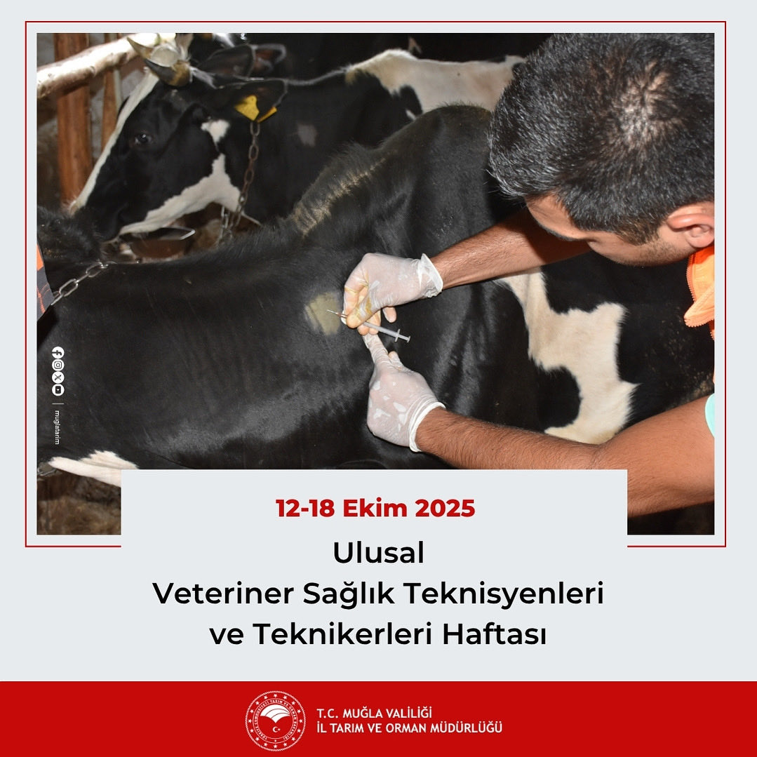 Muğla'da Veteriner Sağlık Çalışanlarının Haftası Kutlandı