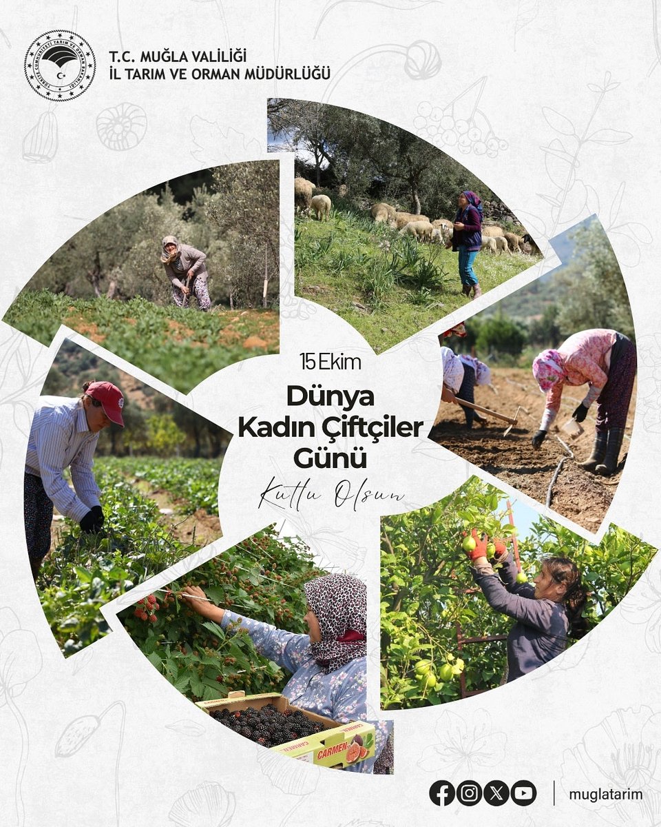 Muğla'da Tarımın Kahramanları: Kadın Çiftçilerin Alın Teri ve Emekleri
