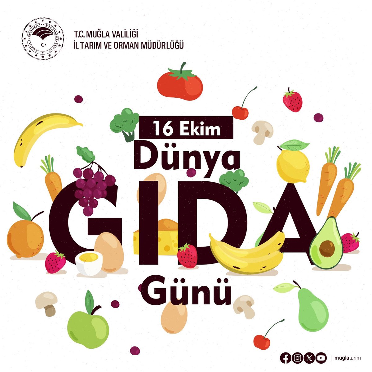 Muğla'da Gıda Güvenliği ve Tarımsal Üretim İçin Sürdürülebilir Adımlar