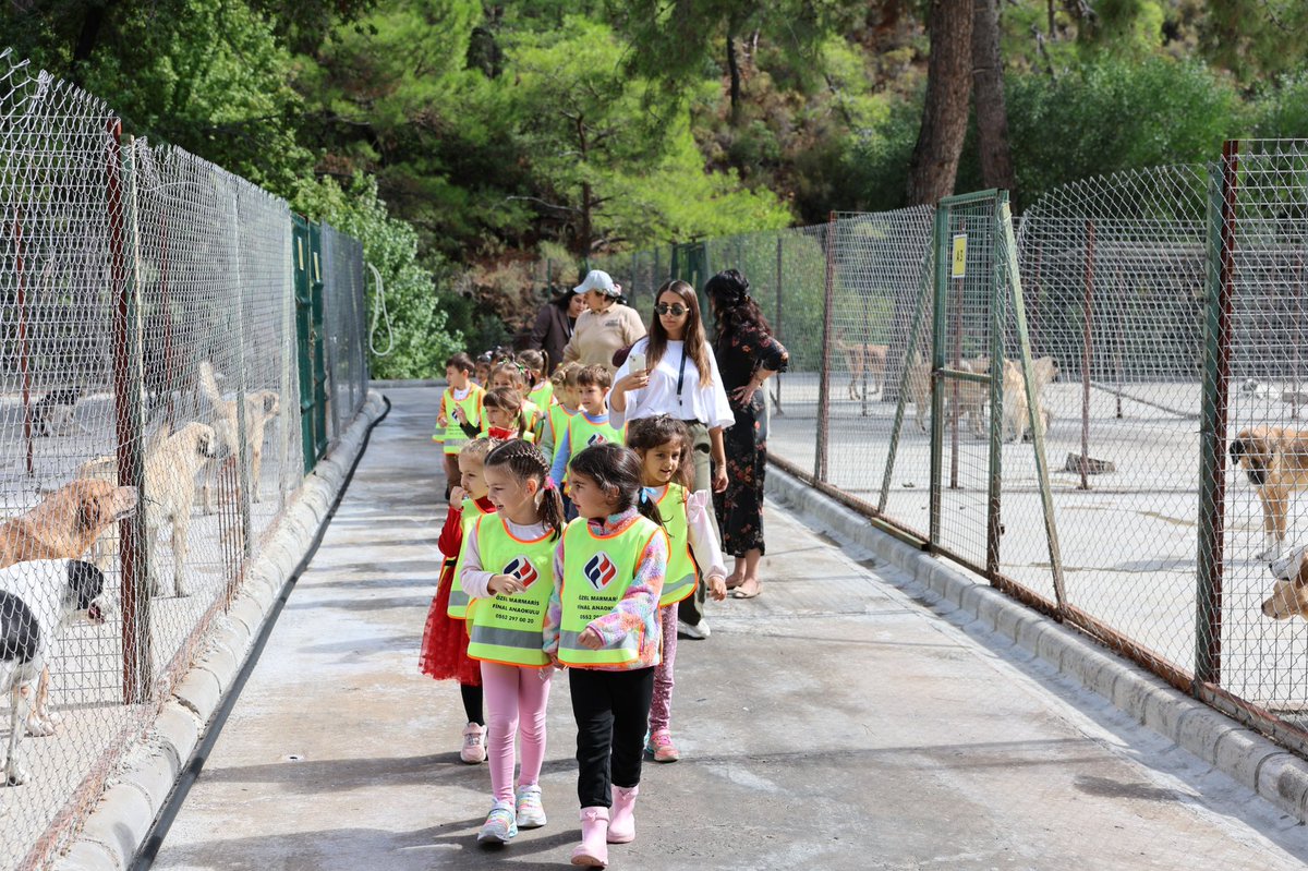 Marmaris'te 4 Ekim Dünya Hayvanları Koruma Günü'ne Yoğun İlgi