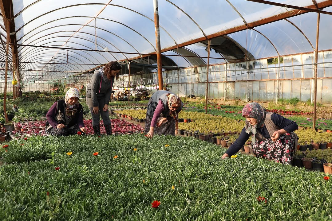 Muğla'da Kadın Kooperatifleri Güçleniyor: Yerel Ürünler Büyük Şehirlerde Satışa Sunuldu