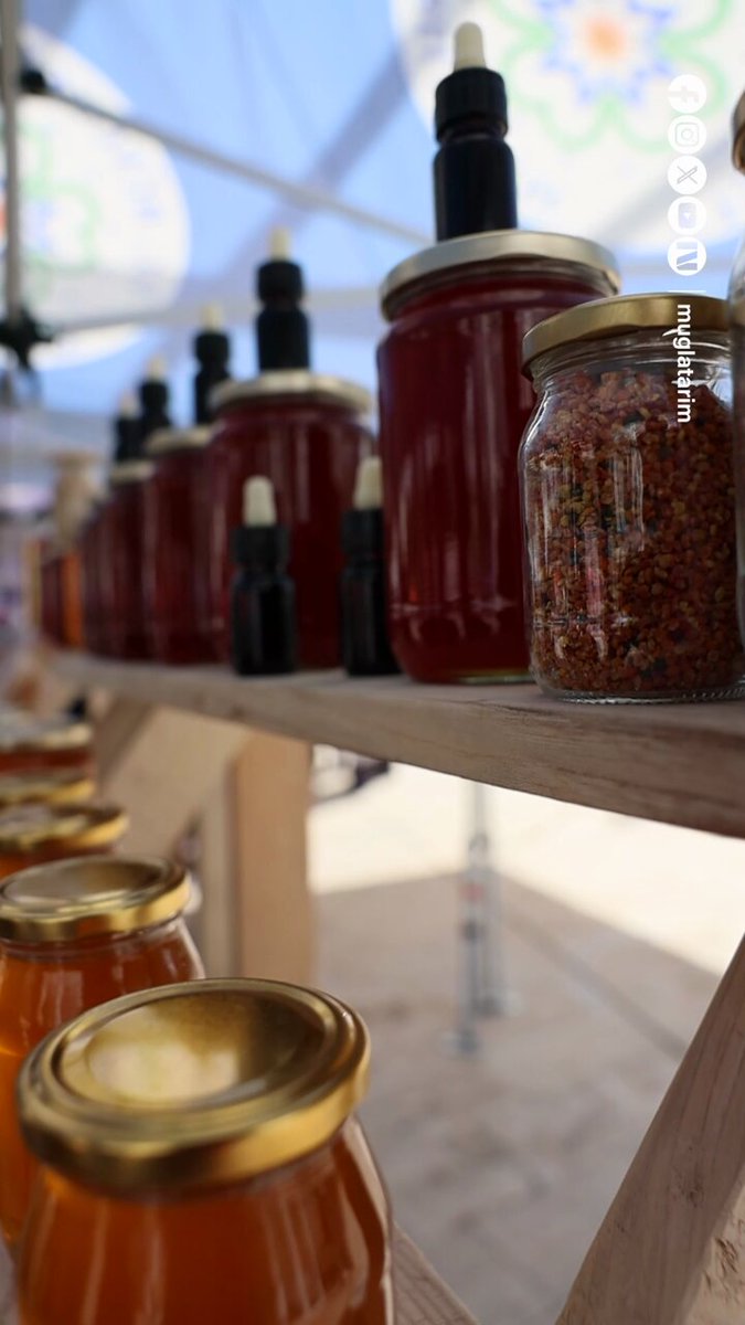 Muğla'da Geleneksel Çam Balı Hasat Şenliği Coşkuyla Kutlandı