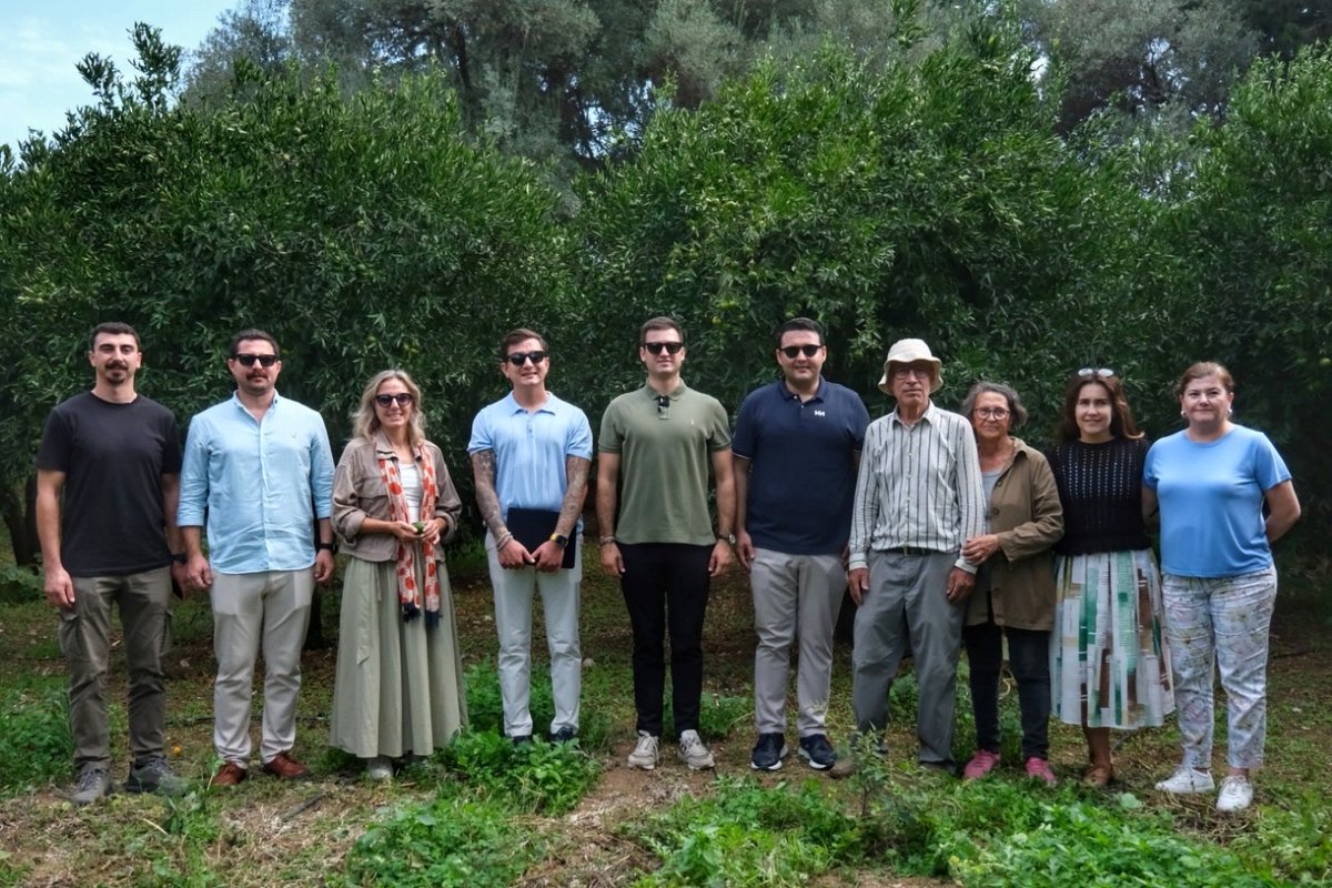 Bodrum Mandalini Rekor Hasat ile Ekonomiye Katkı Sağlıyor